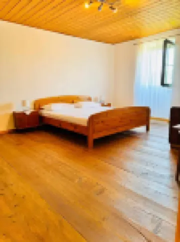 Vacation House Viskic