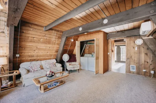 Mt Baker Apt, Pets OK, Wifi and AC