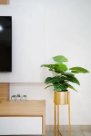 Desaru 75S7 [KTV] Warm Elegant style by Joyfully