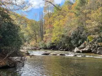 New Home on South Toe River, Pet Friendly