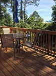 Tropical Dreams - Super cute, clean, and close to the beach!
