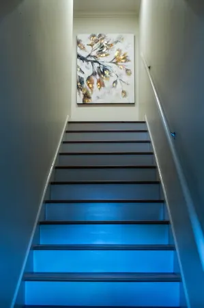 Relax at The Roxie or Walk to the Ole Miss campus!