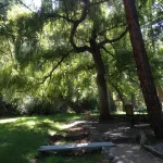 Relax at our River Front Cabin in Historic Upper Canyon
