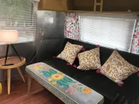 Gila Vintage Airstream RV- pet friendly