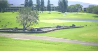 Cozy, updated King studio located on golf course in popular Waikoloa Village.