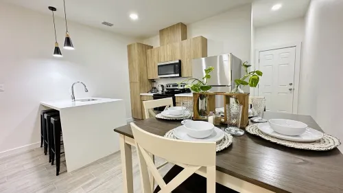 NEW Mcallen Apartament