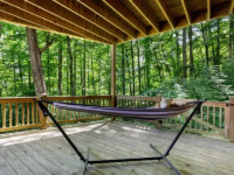 Elk Mountain Lodge: An AVL Mountain Escape w/Hot Tub, Fireplace, Hi-Speed Wifi