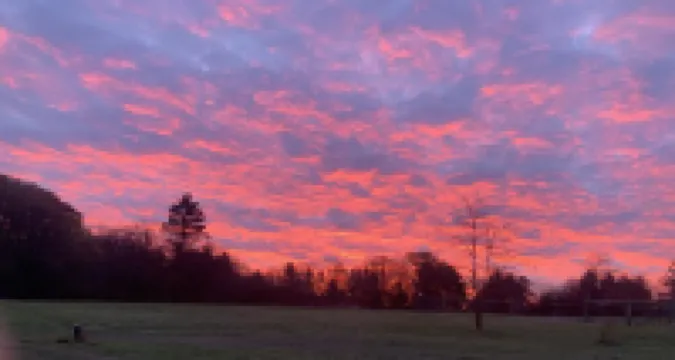 The Thistle House off Chardon Square