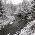 Hemlock Hideaway Cabin with waterfalls, walking trails