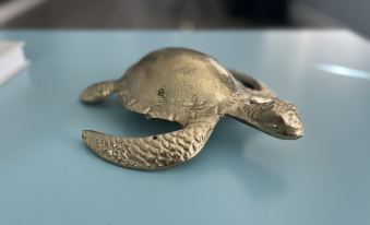 Siesta Sea Turtle by Siesta Key - 0222p12000i2k7o0q3C07 R 339 206 R5 D 