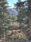 Your Home Along the Way in Denali with Consistent, Excellent Reviews