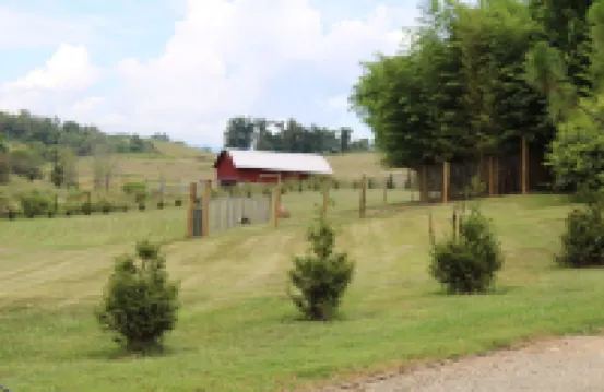 The Carson at Ridgeview. Asheville rental! Luxury Glamping!