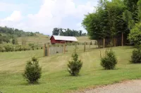 The Carson at Ridgeview. Asheville rental! Luxury Glamping! 마그놀리아 공원 주변 호텔