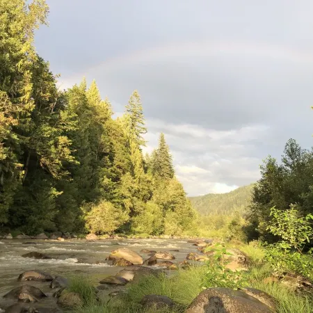 Mid century riverfront cabin. Hot tub, Pet friendly, Riverview