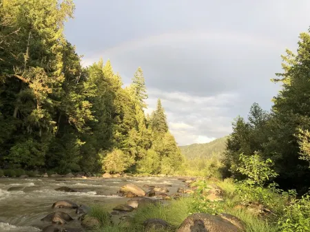 Mid century riverfront cabin. Hot tub, Pet friendly, Riverview