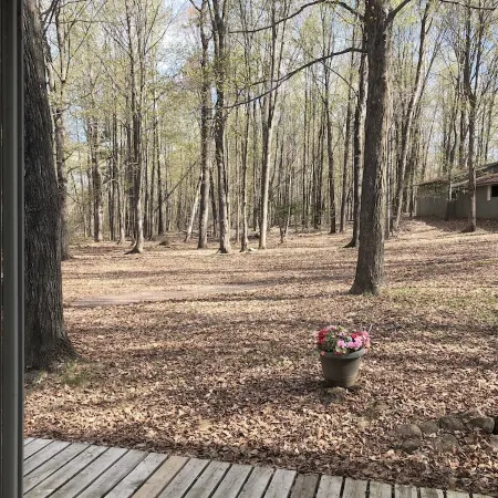 Cozy vacation home nestled in a quiet wooded area. Near town but private