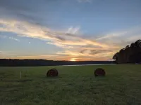 Cozy, Pet-Friendly Farm Perfect for Family Christmas and Winter Sledding Fun