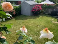 Cozy Modern 2 Bedrooms Apartment Close to Boston
