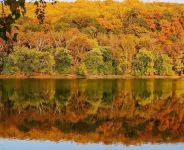 Riverside cottage, minutes from historic Harpers Ferry!  Private river access!