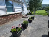 Cottage on the Country Club 웨스트 엔드 호텔