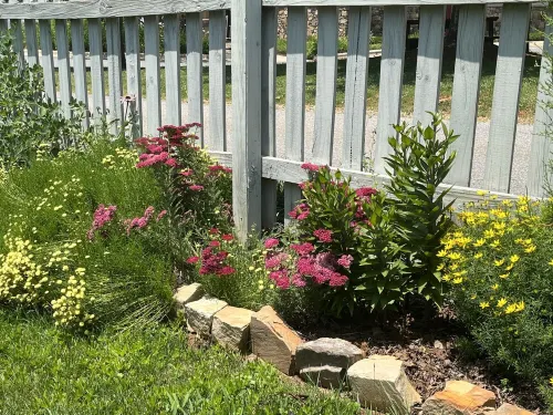 Beautiful Cozy Immaculate cottage