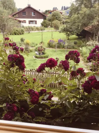 Ferienwohnung Immergrün