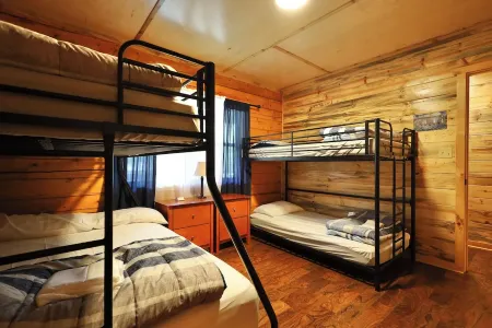 Old Mill Cabin #2 - on the Little MO River, large yard, newly updated!