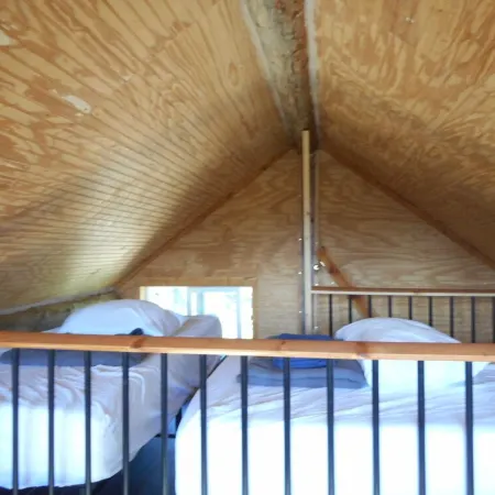 Experience true Alaska secluded Cabin just 15 minutes from Denali National Park.