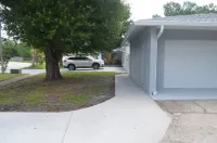 Charming Suite 1B/1B Centrally Located Tampa