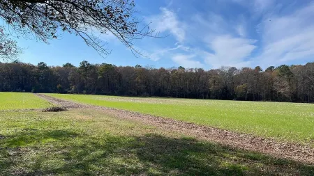 Serenity Cottage: Central to state parks, historic towns, MD & VA beaches