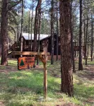 Mountain retreat, nestled in the woods just a short drive from the ski resort.