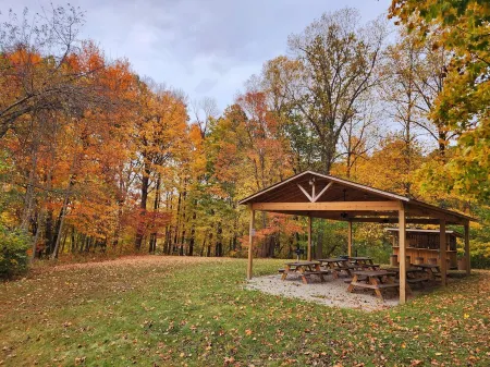 Taurina Cabin-Nestled in nature and tranquility.New updated indoor hot tub.