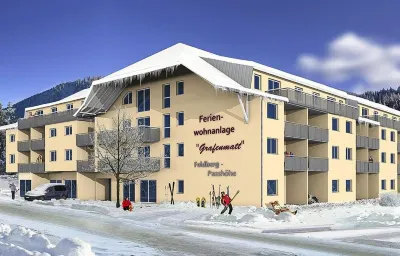 2-room apartment 2-4 persons, directly on the ski slope and hiking trails Hotel in zona Altglashütten-Falkau