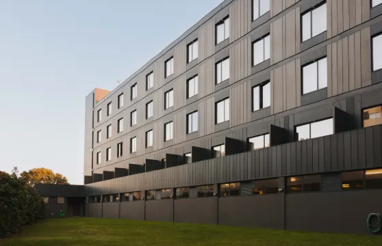 廷布雷英雄主義