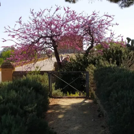 Atena Apartments Agrigento Centro