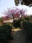 Atena Apartments Agrigento Centro - Apartments