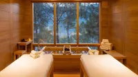 Dhensa Resort - spa