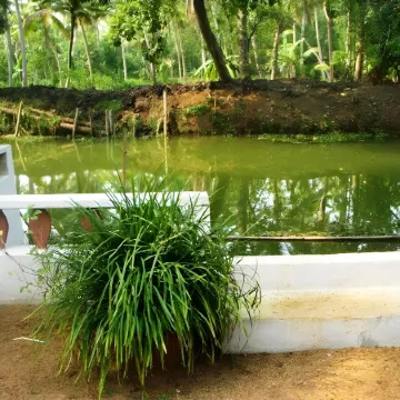 Backwater Heritage Homestay