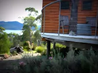 The Tree House