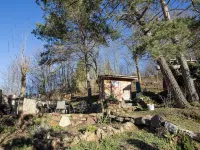Naturally Kirchner - Ecological and family-friendly in the old town by the forest