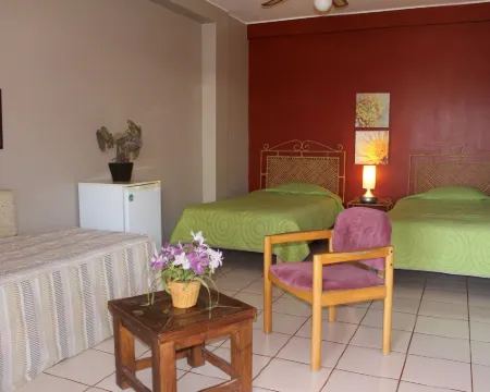 Don Agucho Hotel Hotels in Nasca