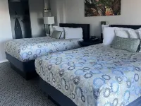 Satellite Hotel Hotels near The Black Sheep