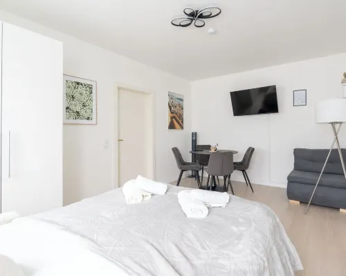 COY Apartments Steyr - Work & Relaxation Hotels in Steyr