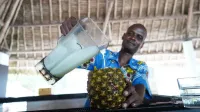 Papillon Lagoon Reef Hotel - bar