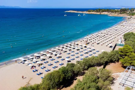 Riviera Escape Suites