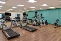 Holiday Inn Express & Suites Ottawa