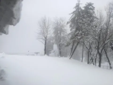 Jungle Castle Murree