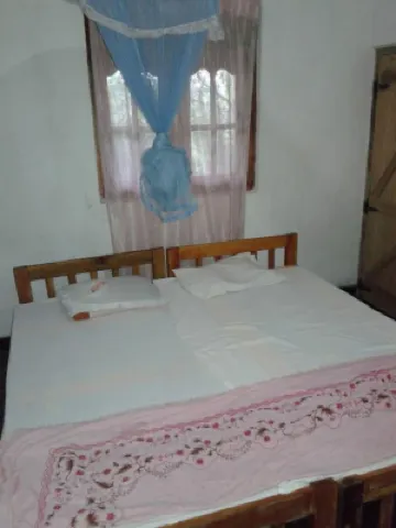 綠葉小屋酒店