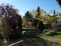 Rural Tourism Homestead Jole - 3-Star