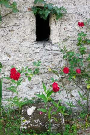 charm and comfort of the campaign in the castles of the Loire.